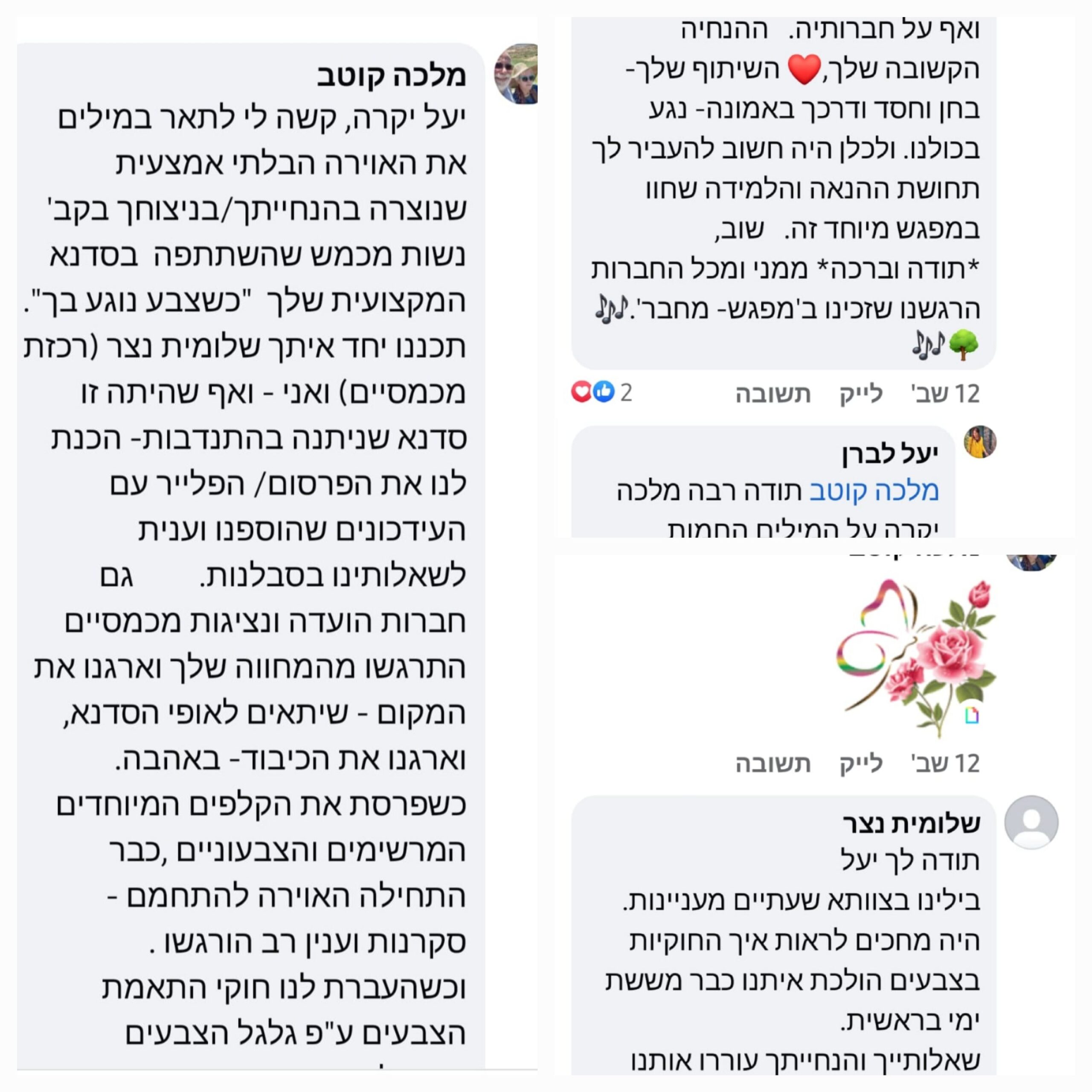 עדויות סדנאות סטיילינג